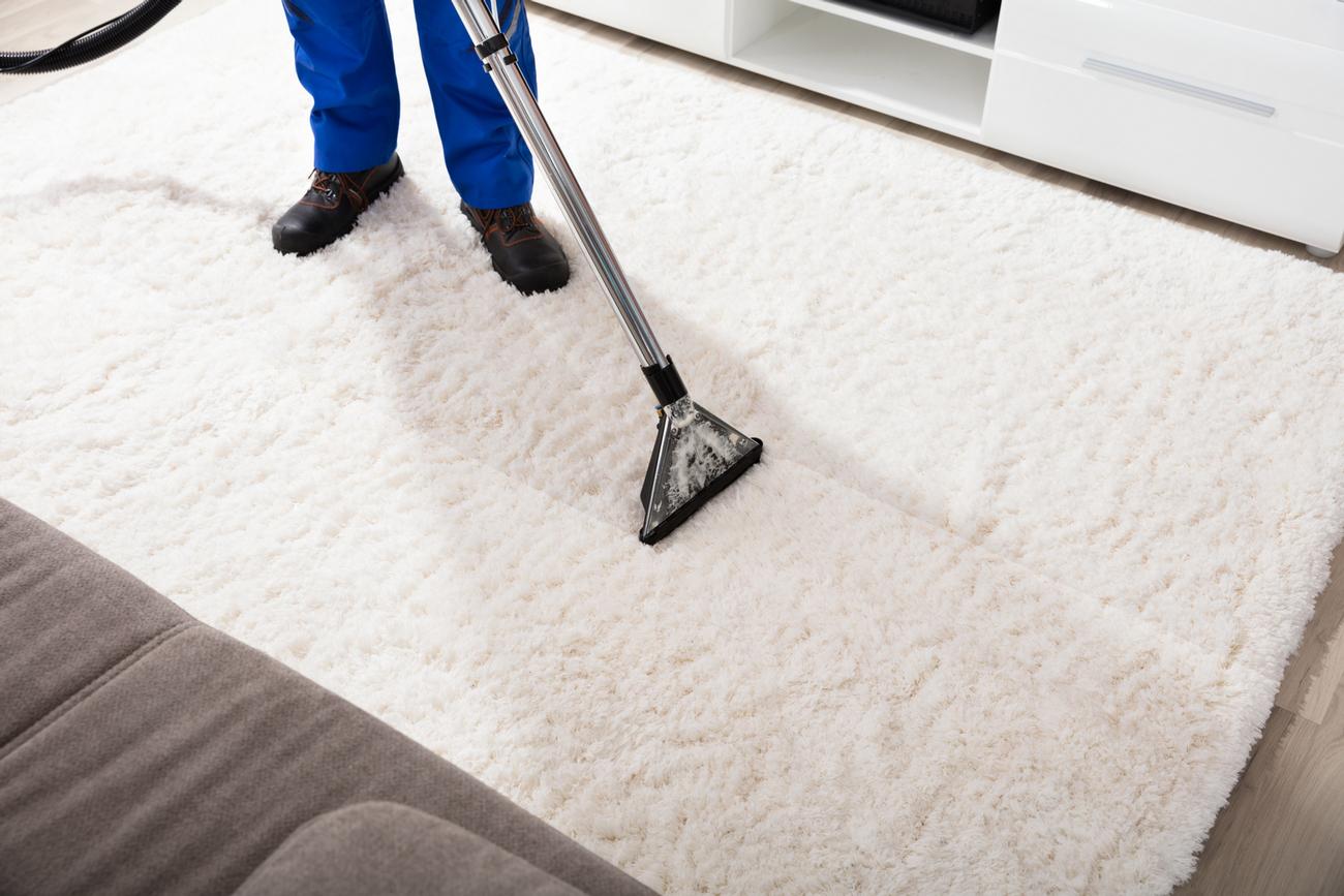 Professional Carpet Cleaning Near Me, Carpet Cleaning Services gallery image 8
