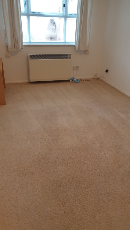 Carpet Cleaning Sutton, Carpet Cleaner, Carpet Steam Cleaners gallery image 10