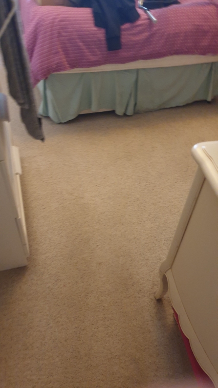 carpet cleaning epsom, cleaning carpets near me, carpet clean gallery image 8