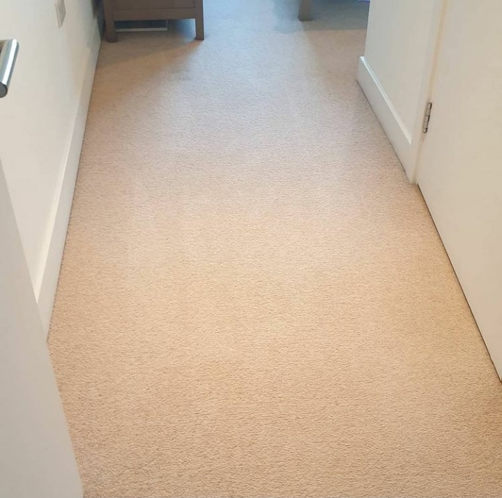book online carpet clean, carpet cleaners near me prices gallery image 2