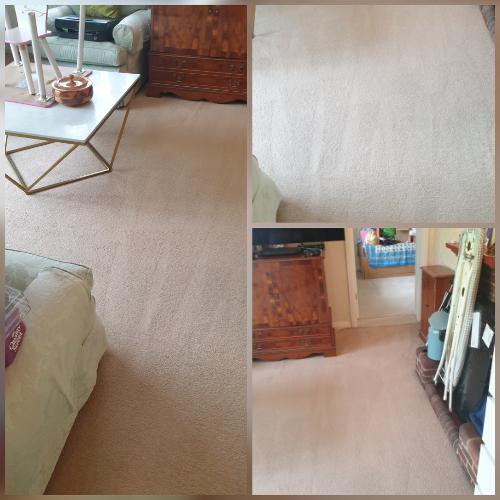 Signs You Need Carpet Cleaning carpet cleaning there are signs you need a professional carpet clean...