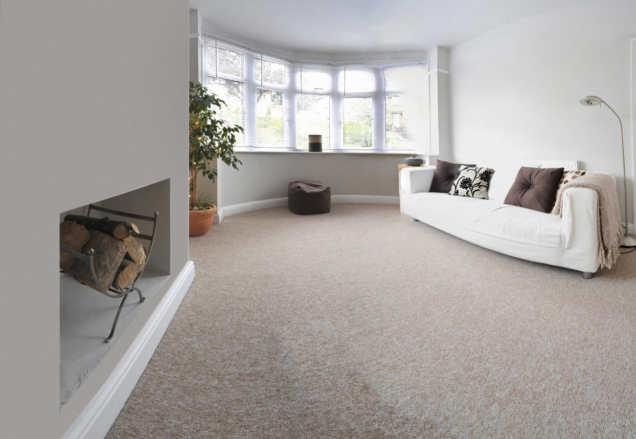 Professional Carpet Cleaning Near Me, Carpet Cleaning Services gallery image 9