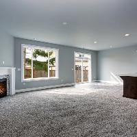 D.I.Y Carpet Cleaning vs Professional Carpet Cleaning