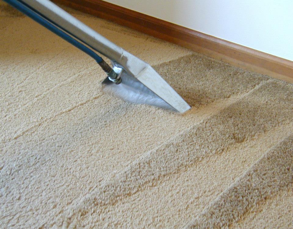 Professional Carpet Cleaning Near Me, Carpet Cleaning Services gallery image 3